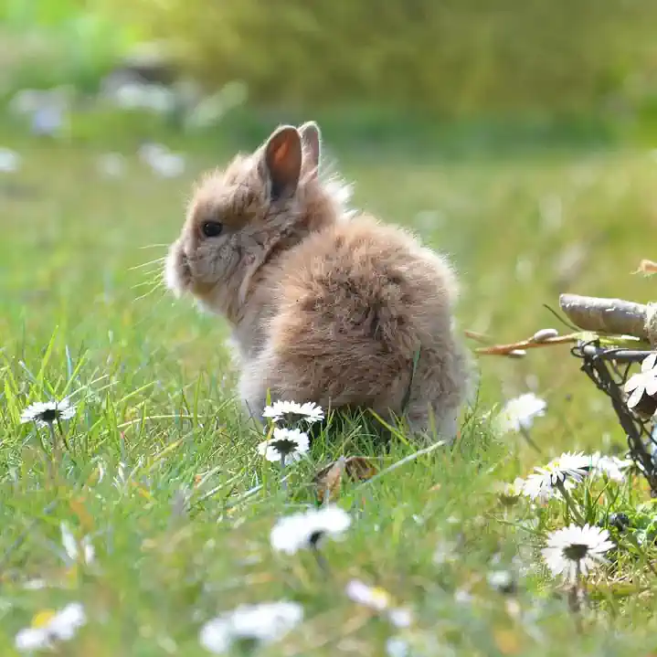 Linux Fdisk 与 Parted 分区实战教程：交互式与非交互式对比